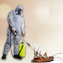 Cockroach Pest Control Services near me | Ppsurya